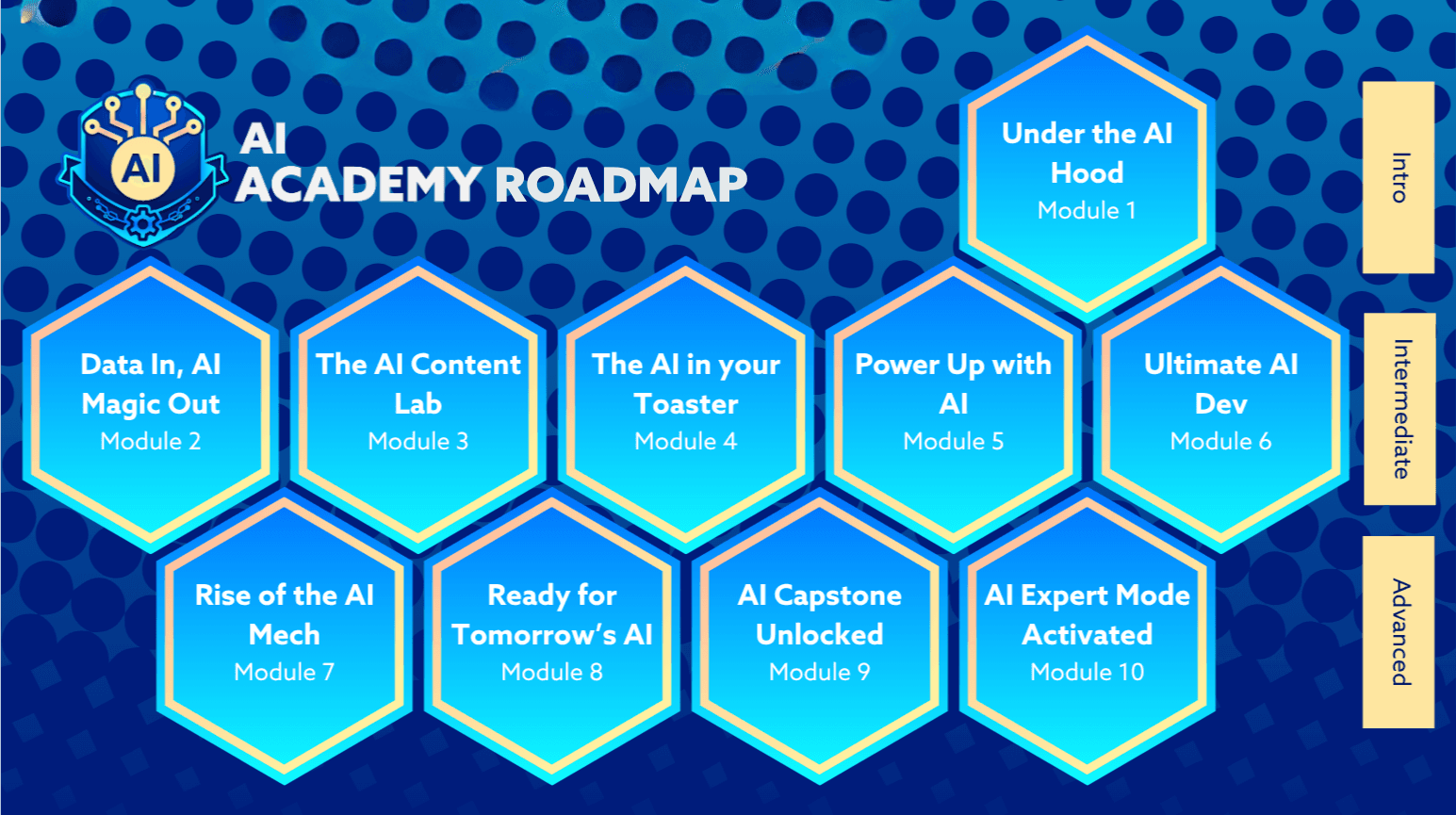 AI Academy Roadmap
